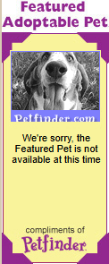 petfinder